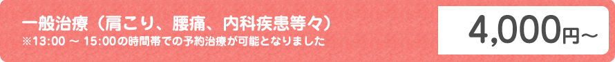 一般治療（肩こり、腰痛、内科疾患等々） 4,000円～